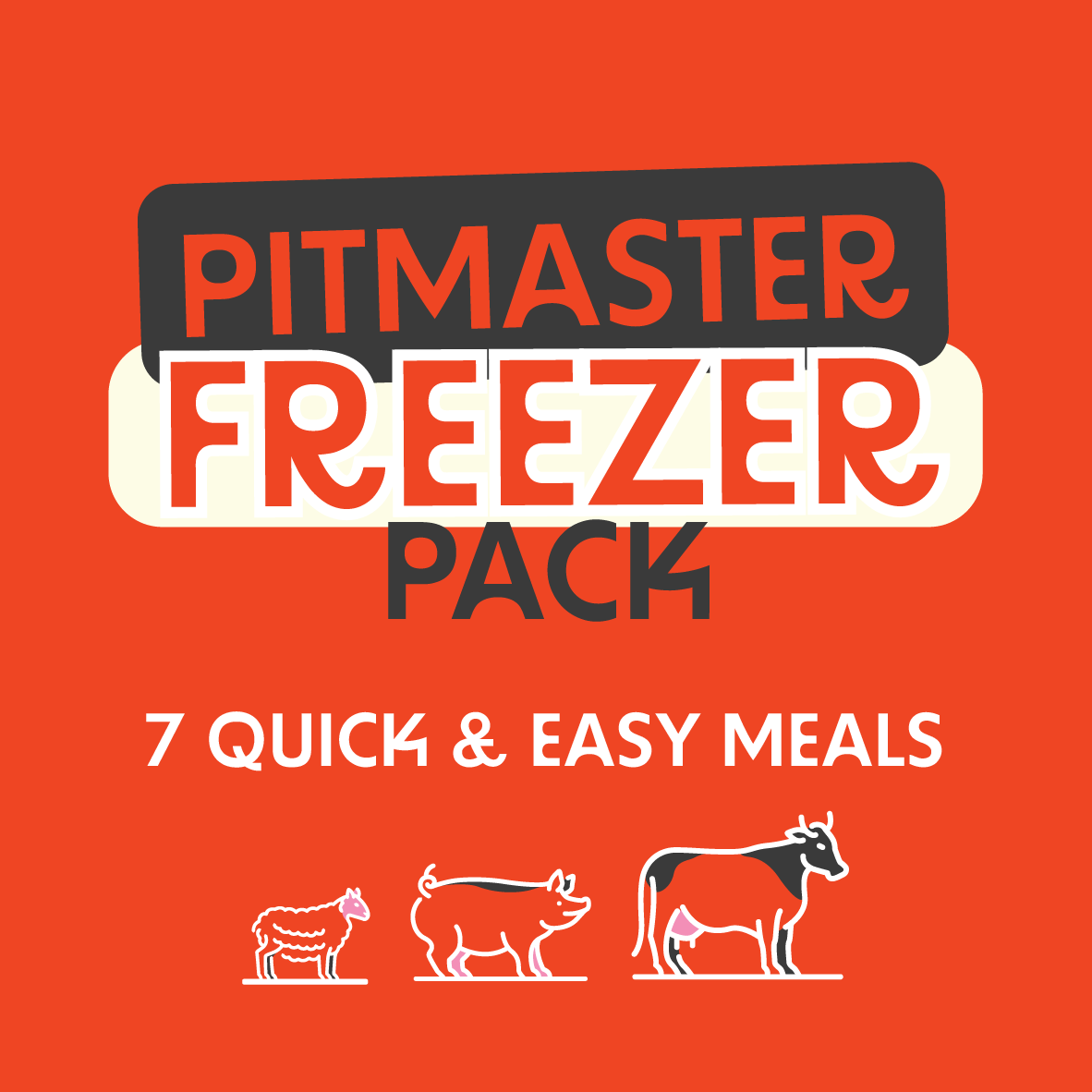 PITMASTER FREEZER PACK