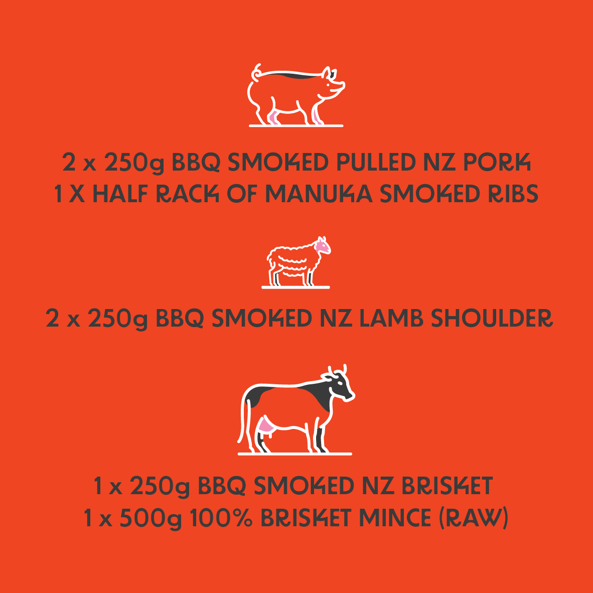 PITMASTER FREEZER PACK